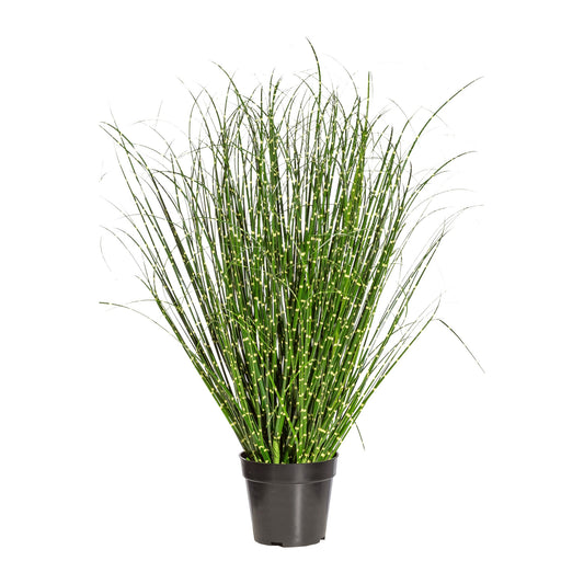 Kunstpflanze Miscanthus Zebrinus im Topf, 80 cm hoch, ideale Dekoration für Innenräume