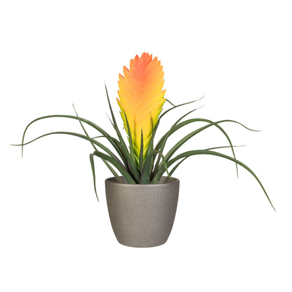 Künstliche Tillandsie Soledo 29 cm im modernen Keramiktopf mit bunten Blüten