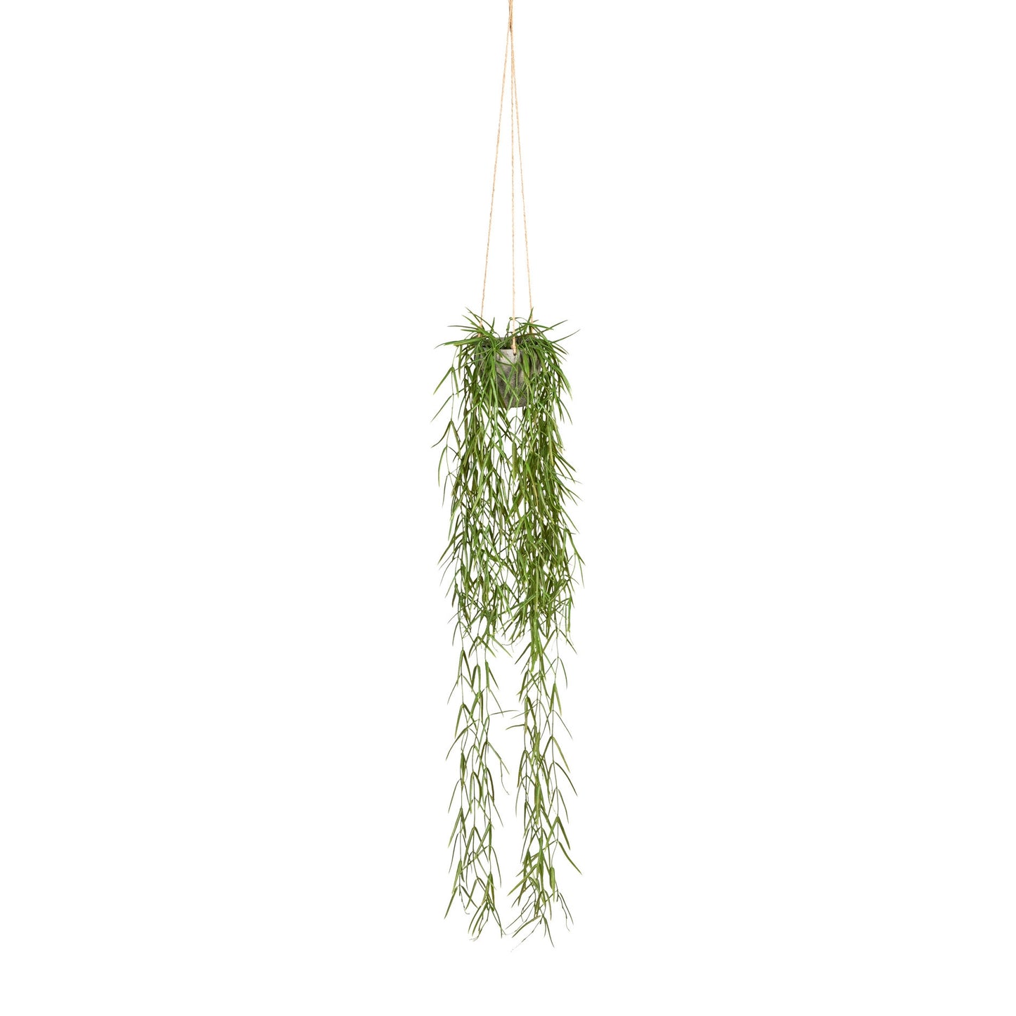 Tillandsia aeranthos Kunstpflanze 90 cm im Hängetopf 9x9 cm – Pflegeleicht & elegant