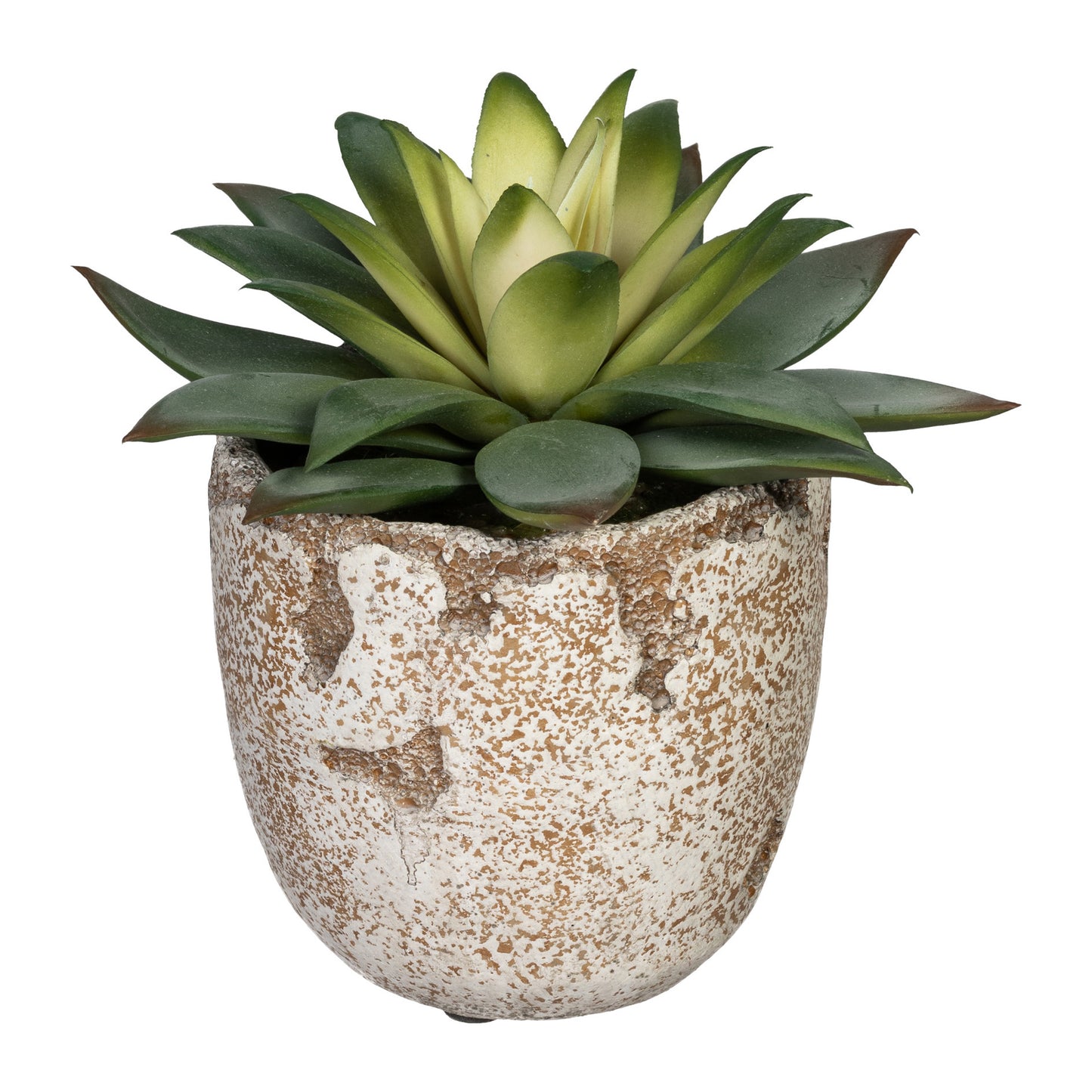 Künstliche Echeveria purpursorum Sukkulente im cremebraunen Zementtopf 16x15 cm