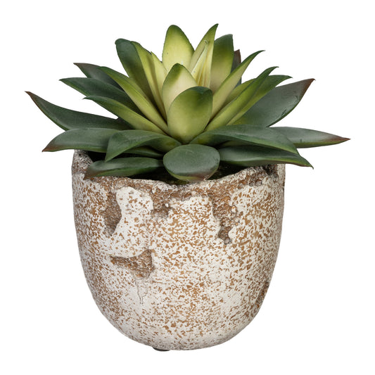 Künstliche Echeveria purpursorum Sukkulente im cremebraunen Zementtopf 16x15 cm