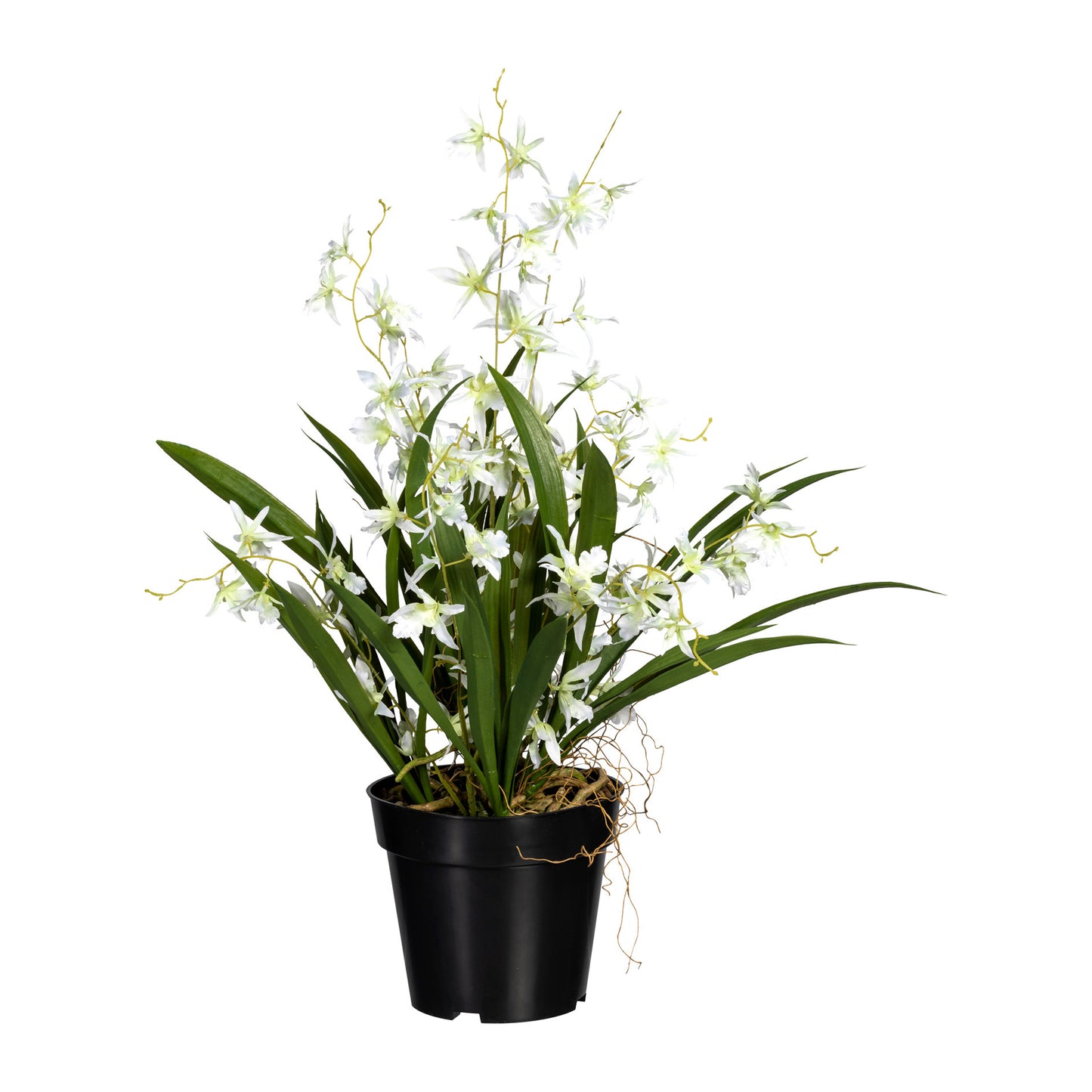 Künstliche Orchidee Dancing Queen 60cm – Pflegeleichte Deko in Gelb & Weiß-Grün