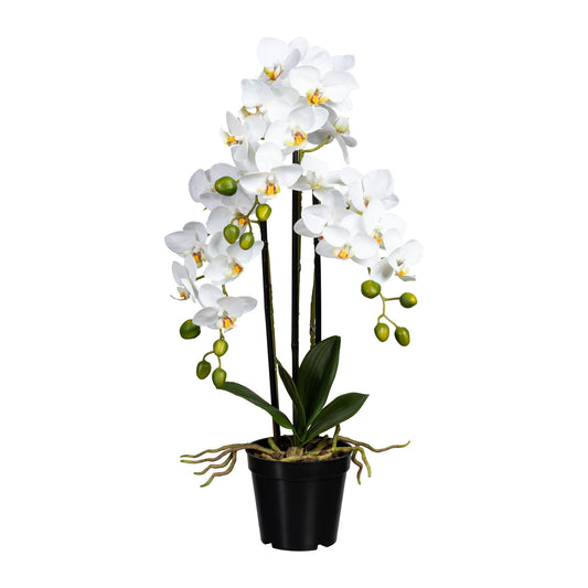 Künstliche Phalaenopsis Orchidee weiß 60 cm im Topf – Pflegeleicht & stilvoll dekorativ