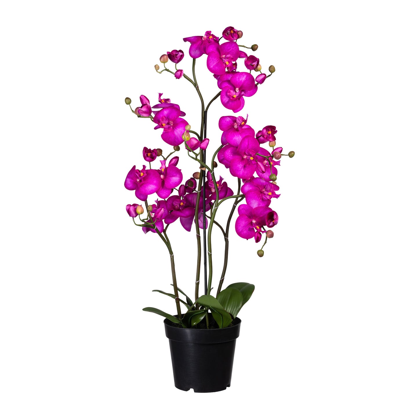 Künstliche Phalaenopsis Orchidee 90 cm im Topf – Pflegeleicht und dekorativ, weiß/lila