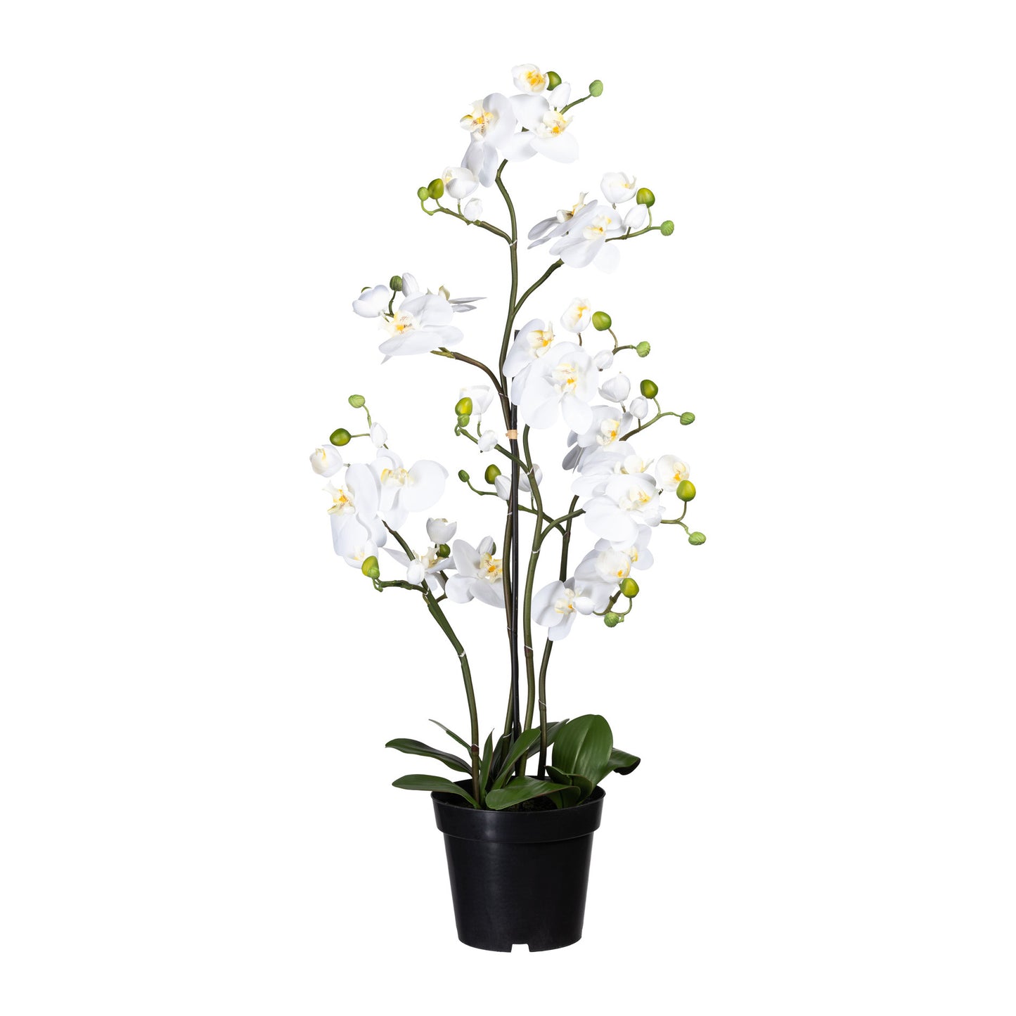 Künstliche Phalaenopsis Orchidee 90 cm im Topf – Pflegeleicht und dekorativ, weiß/lila