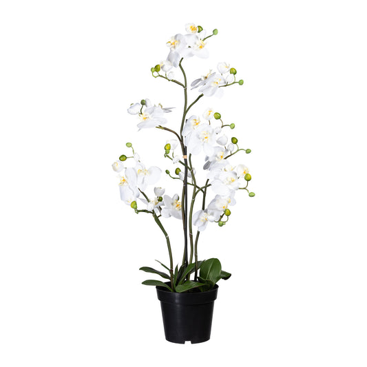Künstliche Phalaenopsis Orchidee 90 cm im Topf – Pflegeleicht und dekorativ, weiß/lila