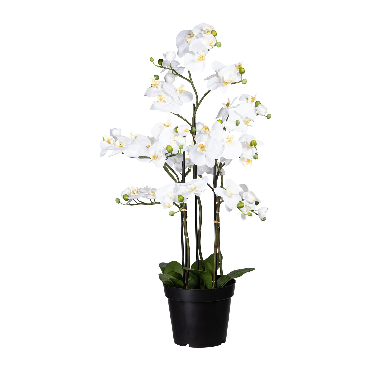 Künstliche Orchidee 110 cm im eleganten Kunststofftopf – Pflegeleicht und elegant