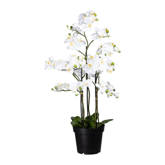 Künstliche Orchidee 110 cm im eleganten Kunststofftopf – Pflegeleicht und elegant