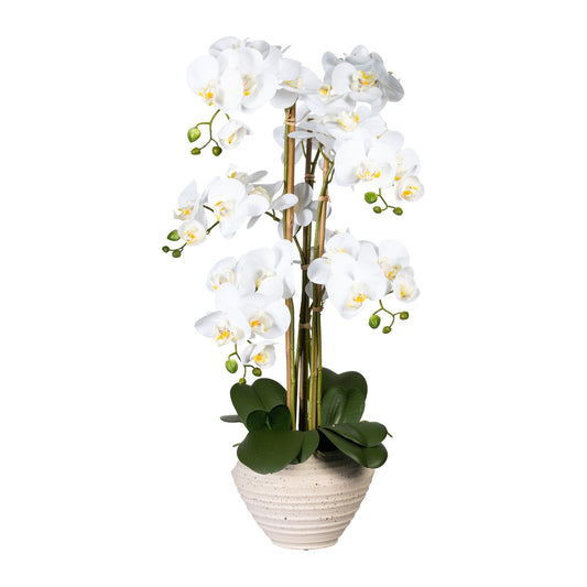 Künstliche Orchidee Phalaenopsis Weiß 80 cm im eleganten creme Keramiktopf