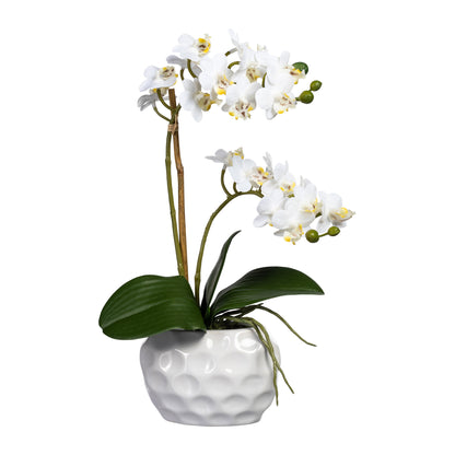 Künstliche Mini-Orchidee 40 cm in weißer Keramikvase – elegante Deko in verschiedenen Farben