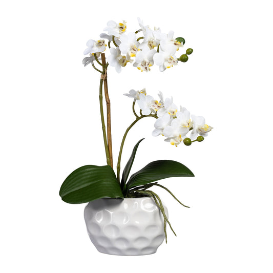 Künstliche Mini-Orchidee 40 cm in weißer Keramikvase – elegante Deko in verschiedenen Farben