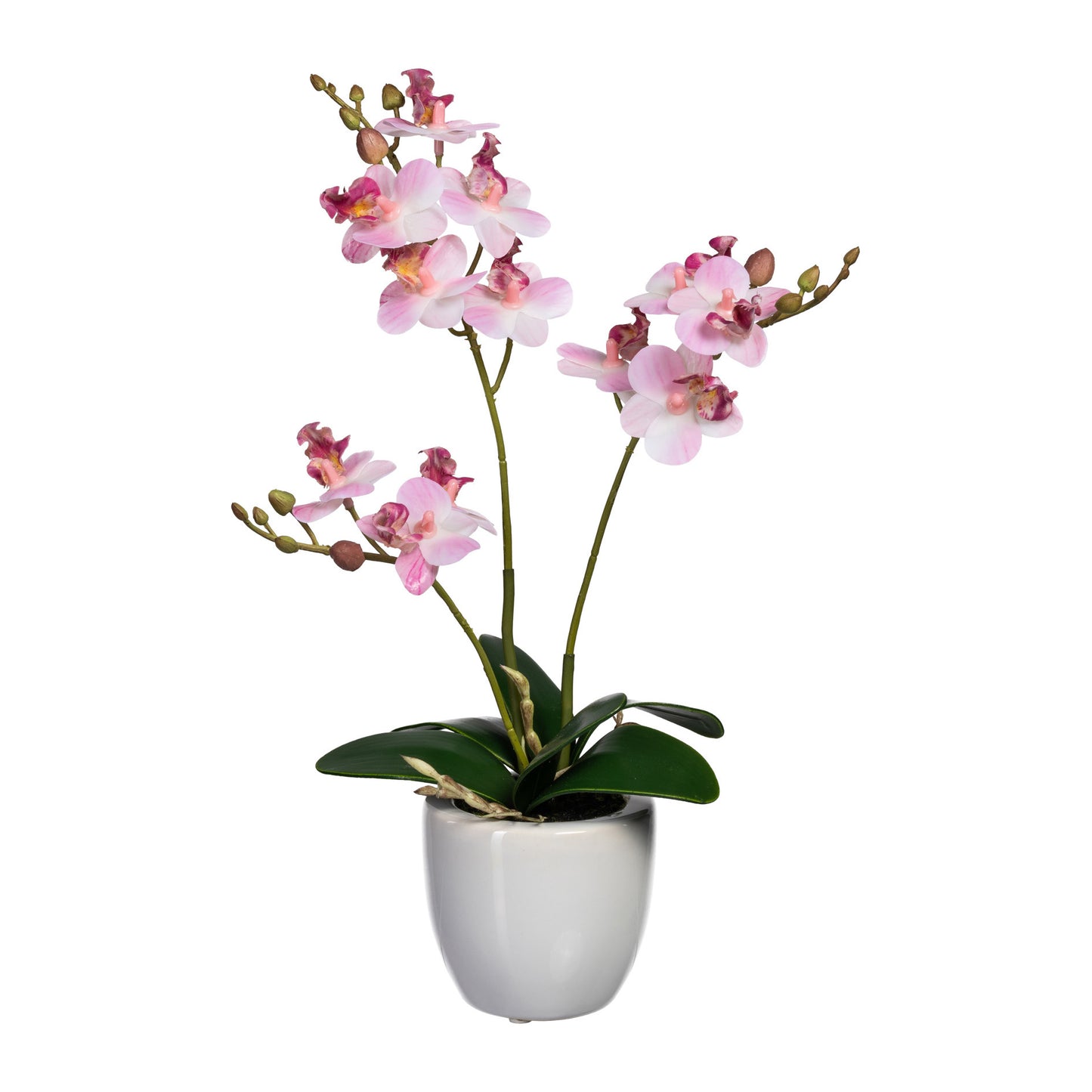 Künstliche Mini-Orchidee 35 cm im weißen Keramiktopf – Verschiedene Farben erhältlich
