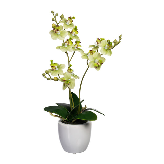 Künstliche Mini-Orchidee 35 cm im weißen Keramiktopf – Verschiedene Farben erhältlich