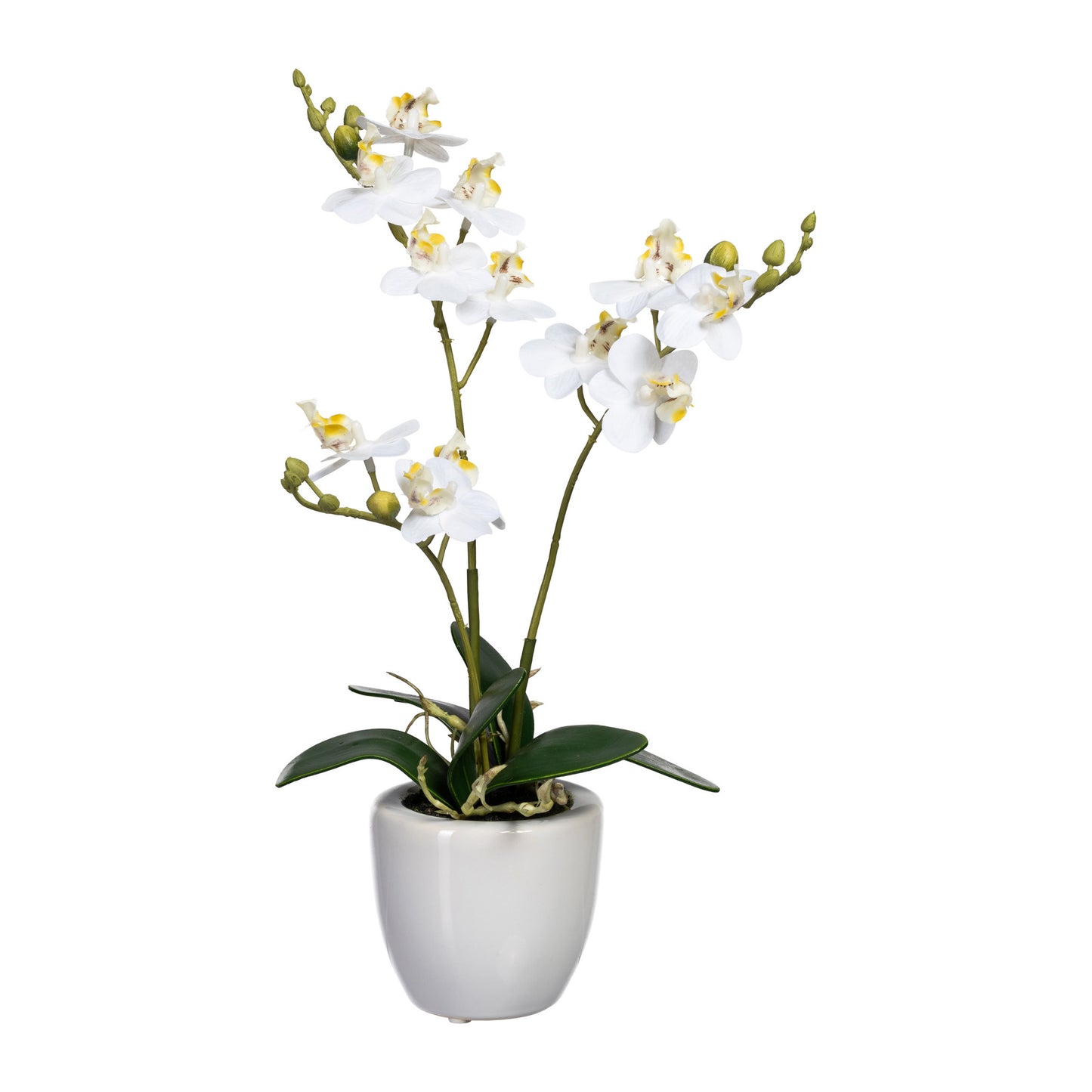 Künstliche Mini-Orchidee 35 cm im weißen Keramiktopf – Verschiedene Farben erhältlich