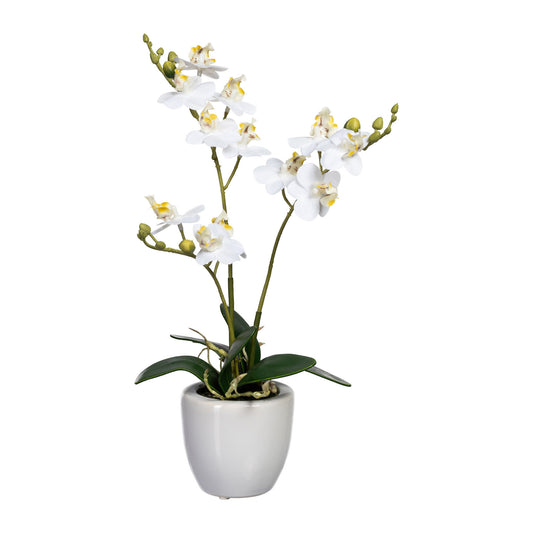 Künstliche Mini-Orchidee 35 cm im weißen Keramiktopf – Verschiedene Farben erhältlich