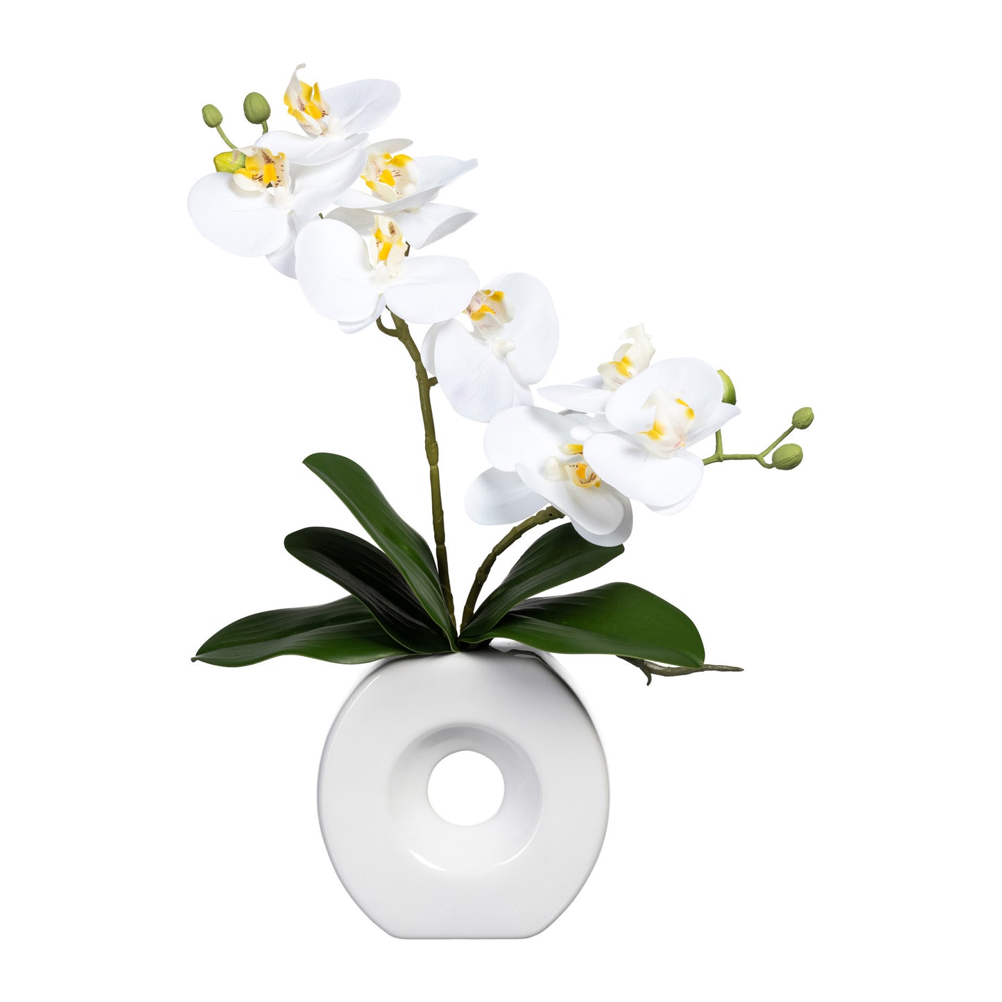 Phalaenopsis Orchidee 35 cm in Weißer Keramikvase – Real Touch Kunstpflanze Deko
