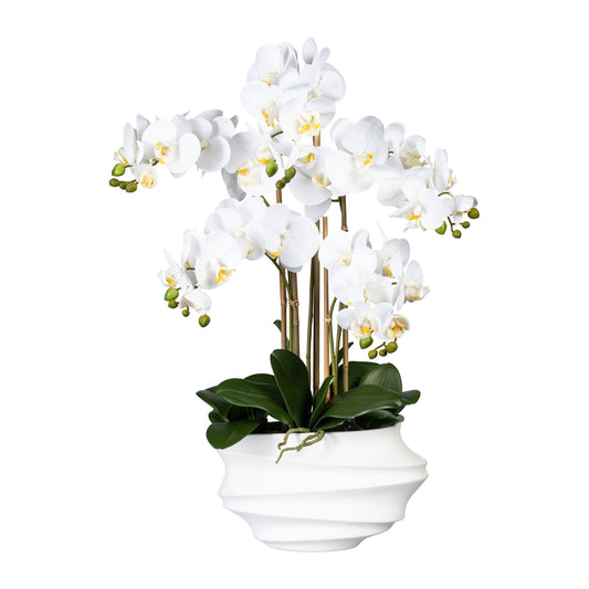 Künstliche weiße Orchidee 75 cm mit eleganter Kunststoffvase für Zuhause und Büro