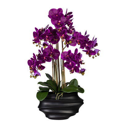 Künstliche Orchidee 75 cm in schwarzer Vase – Täuschend echte Blüten in Weiß & Lila