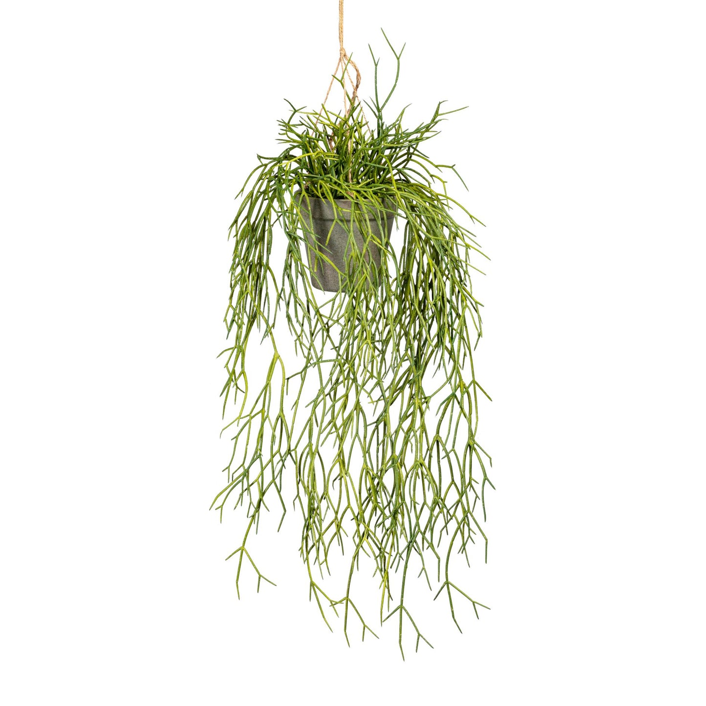 Künstlicher Rhipsalis-Hänger 60 cm in moderner Kunststoffampel für jedes Wohnambiente