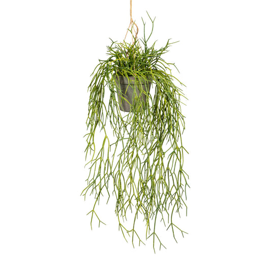 Künstlicher Rhipsalis-Hänger 60 cm in moderner Kunststoffampel für jedes Wohnambiente