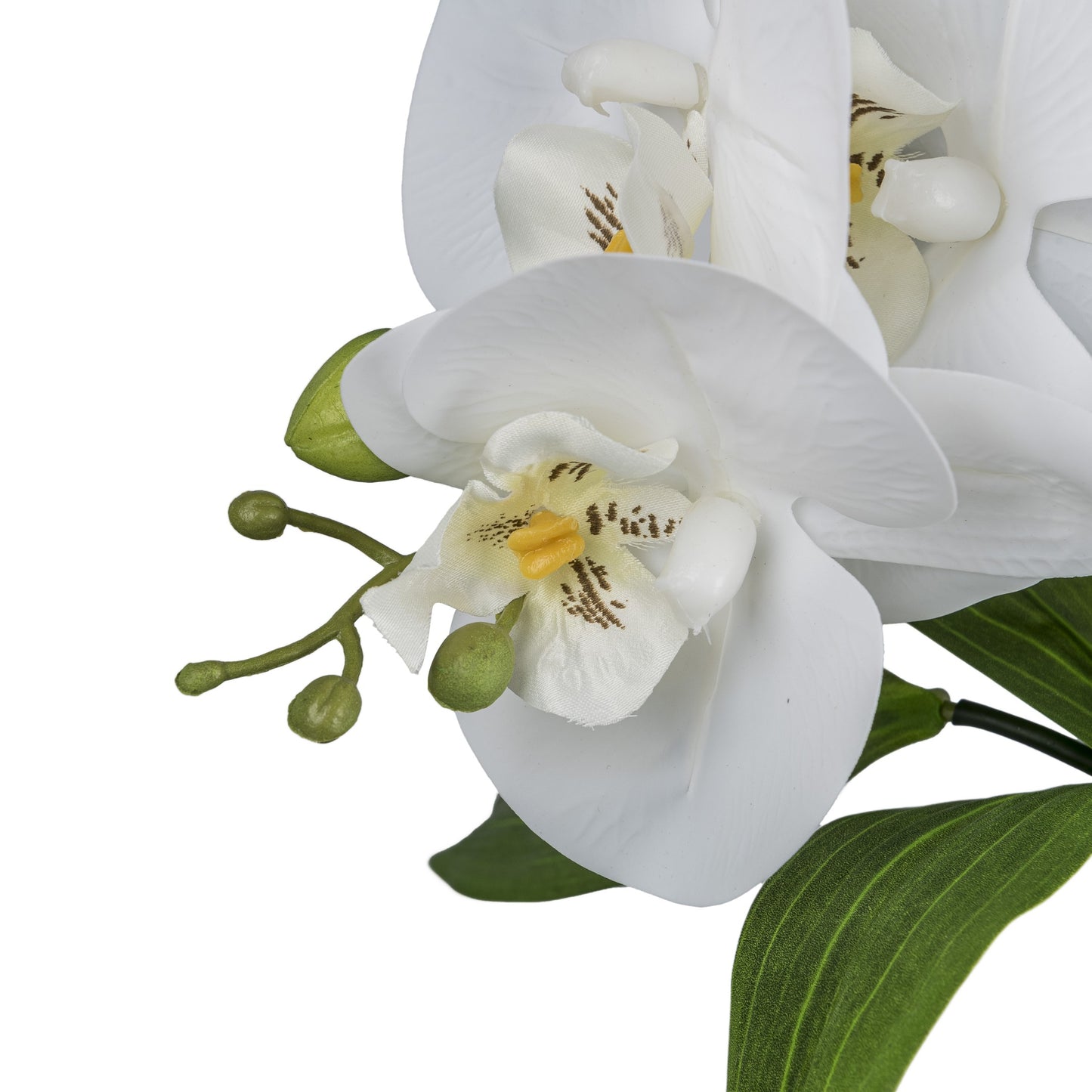 Orchideen-Bambus Arrangement 60 cm, Weiß, Real Touch im Buddha-Zementtopf