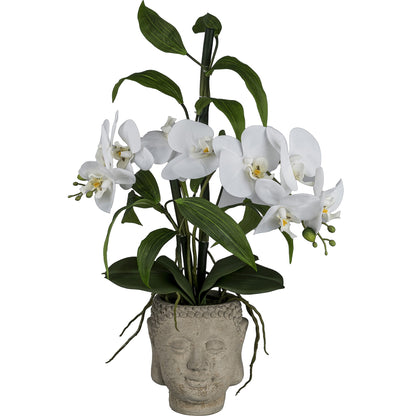 Orchideen-Bambus Arrangement 60 cm, Weiß, Real Touch im Buddha-Zementtopf