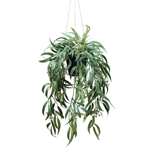 Eukalyptus globulus Kunstpflanze 65 cm mit Fruchtstand in Kunststoffampel 12x11 cm