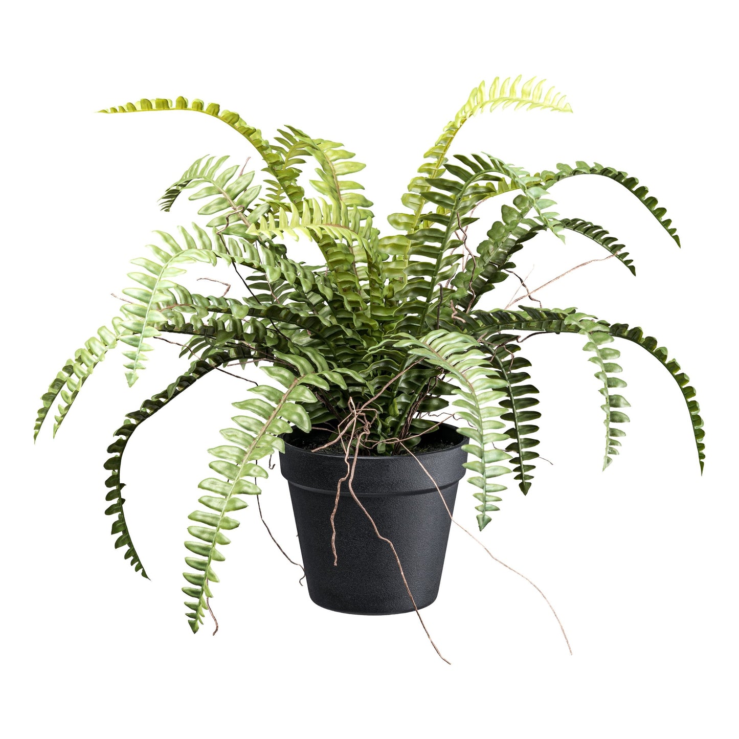 Waldfarn Kunstpflanze 50 cm Durchmesser, 35 cm hoch im Topf, grün und pflegeleicht
