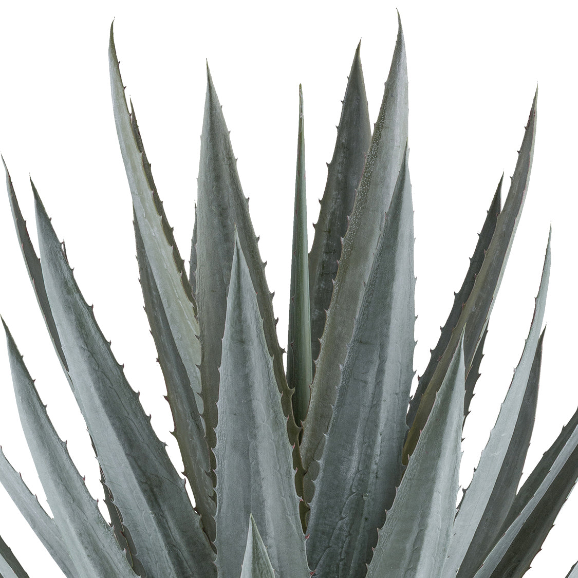 Kunstpflanze Agave Tequilana 110 cm grüngrau im grauen Kunststofftopf 27x27 cm