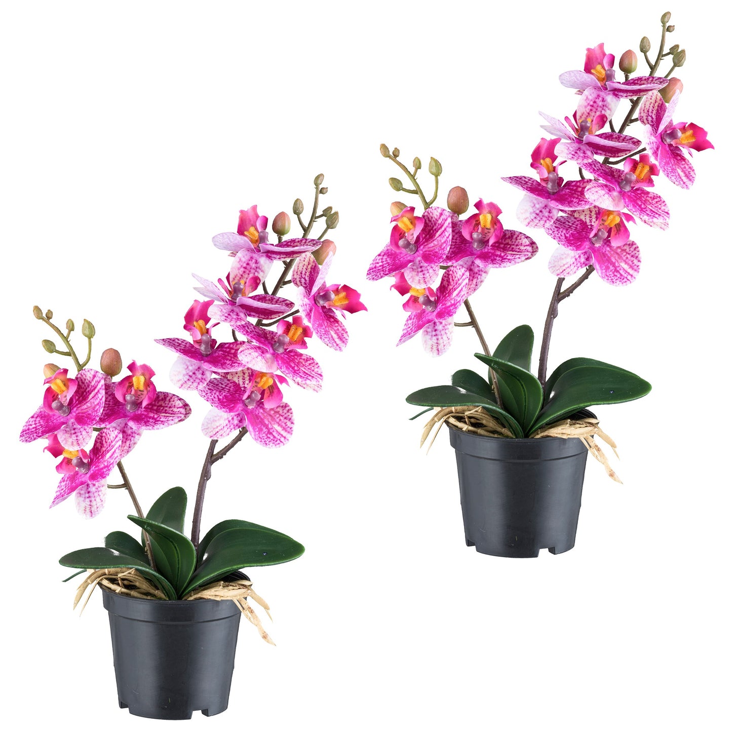 2er Set Phalaenopsis Orchideen 28 cm - Realistische Kunstpflanzen im Topf