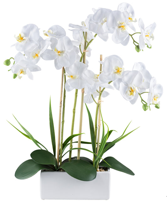 Phalaenopsis Orchidee Weiß 58 cm mit 20 Blüten – Real Touch Kunstpflanze in Keramik
