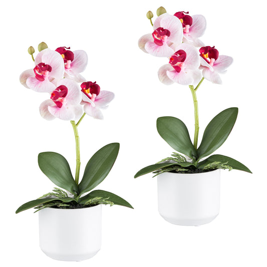 2er Set Phalaenopsis Orchideen 27cm Pink im weißen Keramiktopf - Real Touch Kunstpflanze