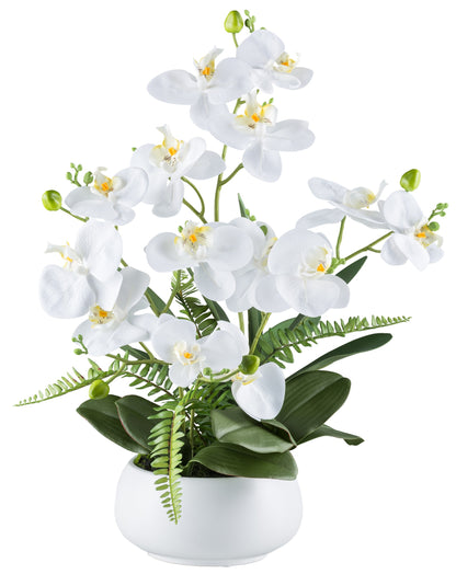 Phalaenopsisarrangement 55cm Weiß, Real Touch Kunstpflanze in Keramikschale 20x10cm