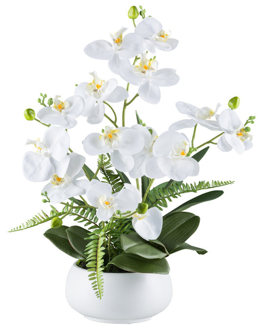Phalaenopsisarrangement 55cm Weiß, Real Touch Kunstpflanze in Keramikschale 20x10cm