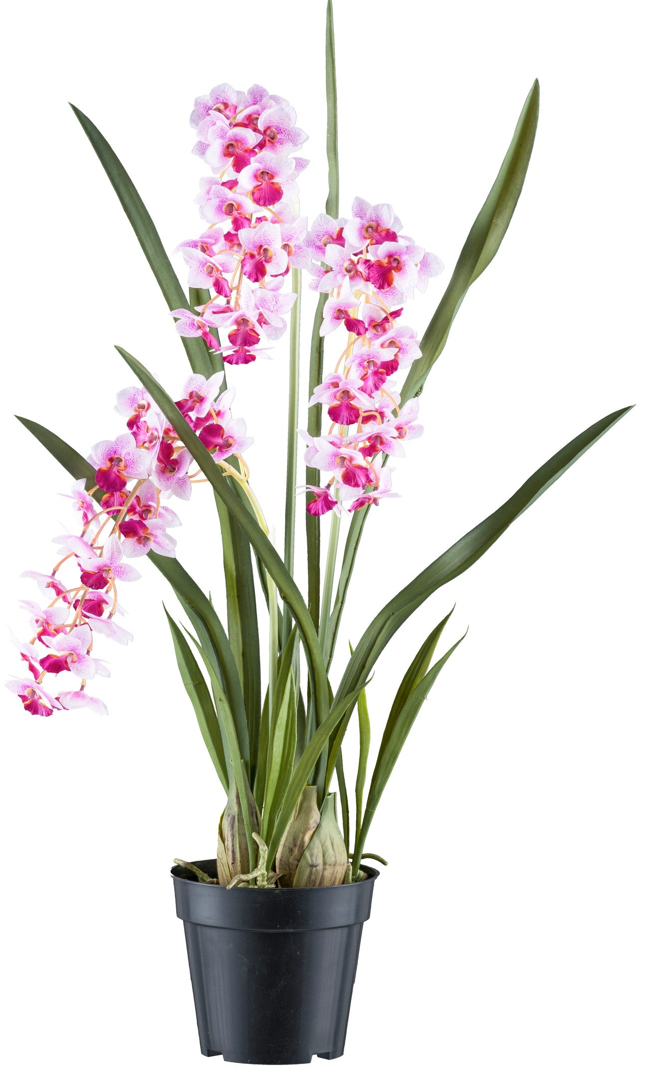 Cymbidie orientalis Kunstpflanze 80cm Weiß-Lila Real Touch im Kunststofftopf 17x15cm