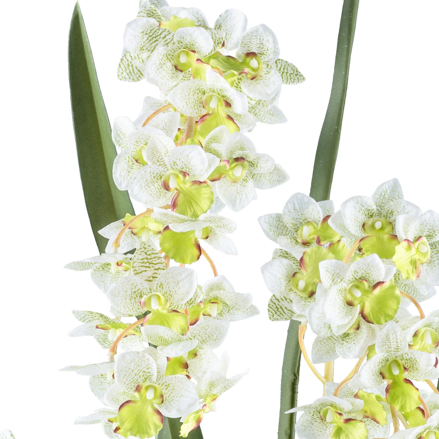 Cymbidie orientalis Kunstpflanze 80 cm Real Touch im Kunststofftopf 17x15 cm Weiß-Grün