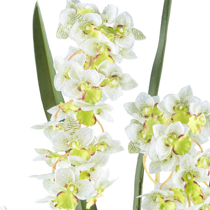 Cymbidie orientalis Kunstpflanze 80 cm Real Touch im Kunststofftopf 17x15 cm Weiß-Grün