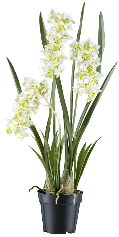 Cymbidie orientalis Kunstpflanze 80 cm Real Touch im Kunststofftopf 17x15 cm Weiß-Grün