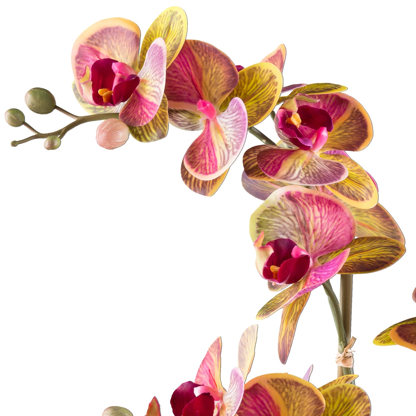 Phalaenopsis Orchidee 56cm Gelbpink in grauer Zementschale - Real Touch Kunstpflanze