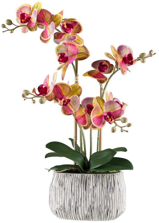Phalaenopsis Orchidee 56cm Gelbpink in grauer Zementschale - Real Touch Kunstpflanze