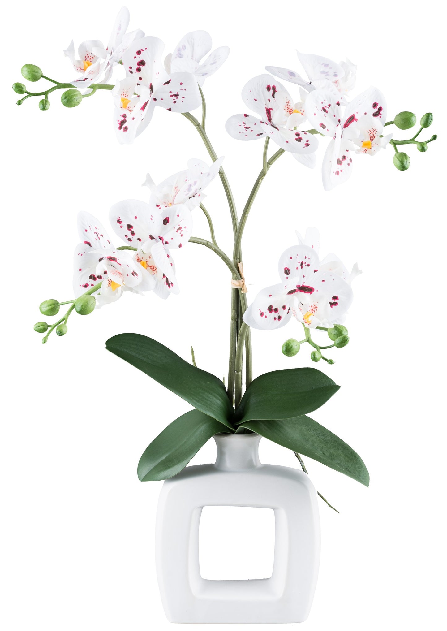 Phalaenopsis Orchidee 42cm in Keramikvase, weiß-rot gepunktet, pflegeleichte Kunstpflanze