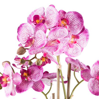 Phalaenopsis Orchidee 62 cm - Real Touch Kunstpflanze im eleganten Keramiktopf 15x13 cm