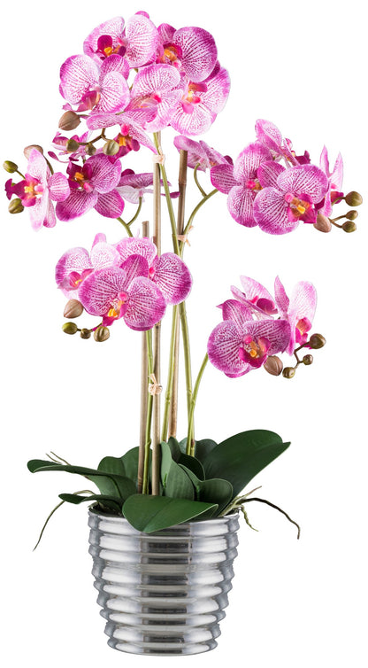 Phalaenopsis Orchidee 62 cm - Real Touch Kunstpflanze im eleganten Keramiktopf 15x13 cm