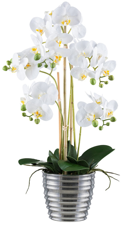 Phalaenopsis Orchidee 62 cm Weiß im eleganten Silber-Keramiktopf – Pflegeleichte Kunstpflanze