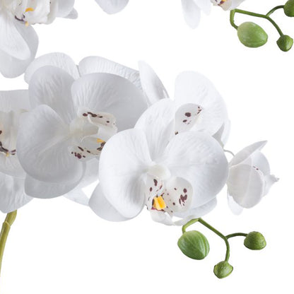 Phalaenopsis Orchidee 70 cm in Weiß - Pflegeleichte Kunstpflanze im schwarzen Topf
