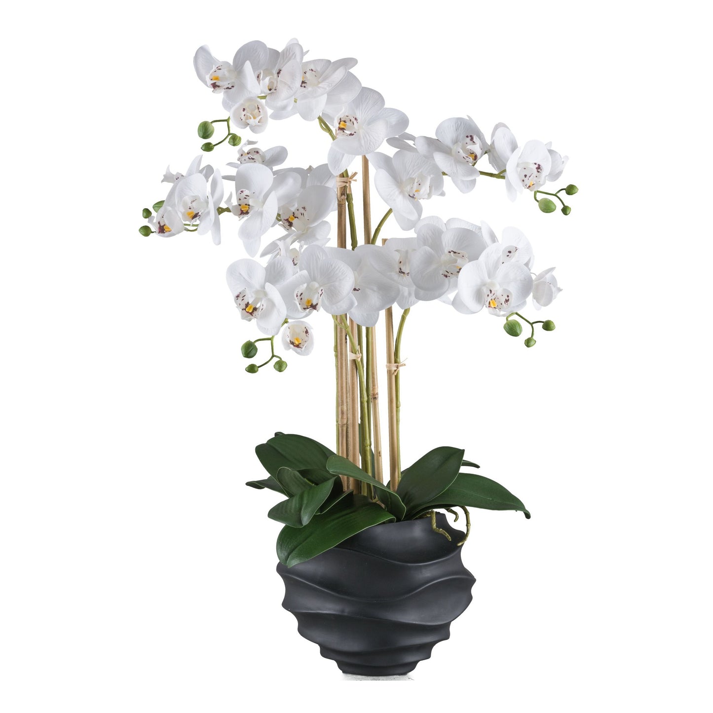Phalaenopsis Orchidee 70 cm in Weiß - Pflegeleichte Kunstpflanze im schwarzen Topf