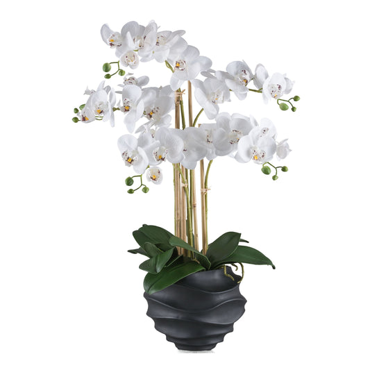 Phalaenopsis Orchidee 70 cm in Weiß - Pflegeleichte Kunstpflanze im schwarzen Topf