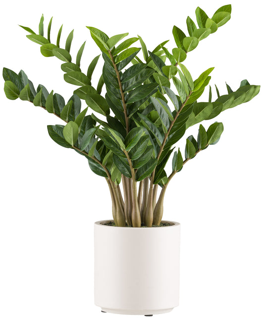 Zamioculcas zamiifolia Kunstpflanze 80 cm im cremefarbenen Topf mit Erde, pflegeleicht