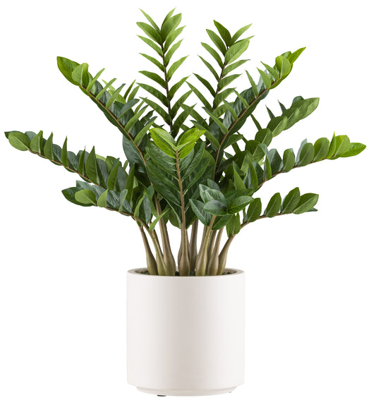 Zamioculcas zamiifolia 85 cm Kunstpflanze im modernen grauen Kunststofftopf 26x26,5 cm