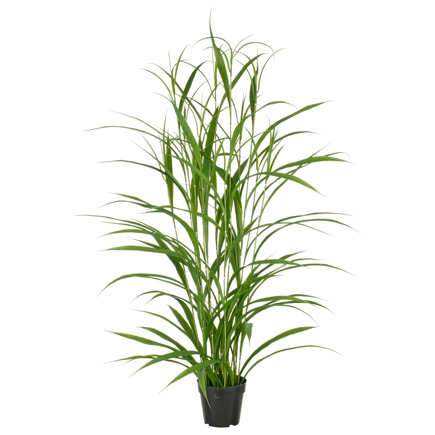 Jumbogras Kunstpflanze ca. 130 cm UV-beständig im Kunststofftopf 17x14,5 cm grün, pflegeleicht